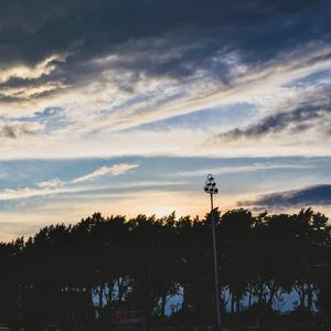 free复古性ⅩXXX复古视频
